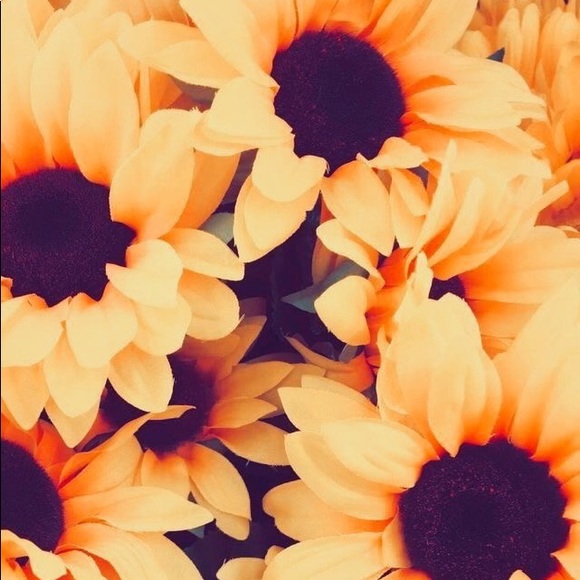 welcome 🌙✨ - Picture 5 of 10